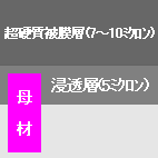 X|p|hCp`̔햌w